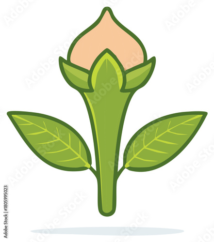Vector illustration of a single clove bud with leaves in a simple flat design style