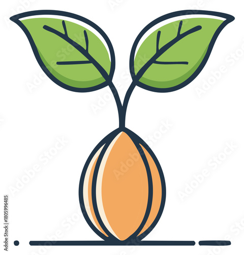 Sprout seedling growing from seed with two green leaves and a light orange body