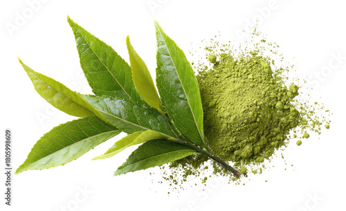 Fresh green tea leaves and powdered green tea