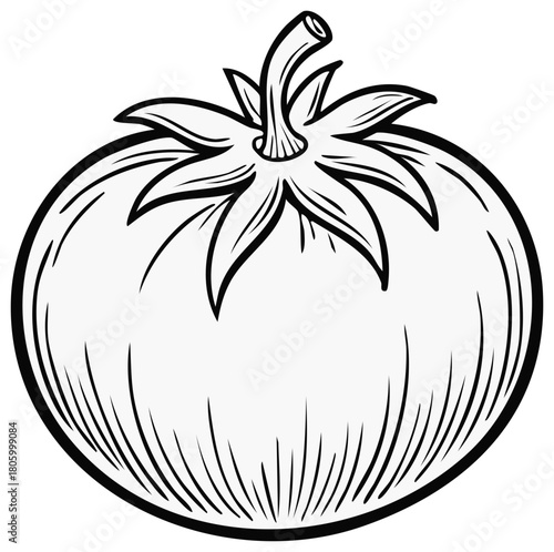 Engraved style black and white line art drawing of a fresh garden tomato