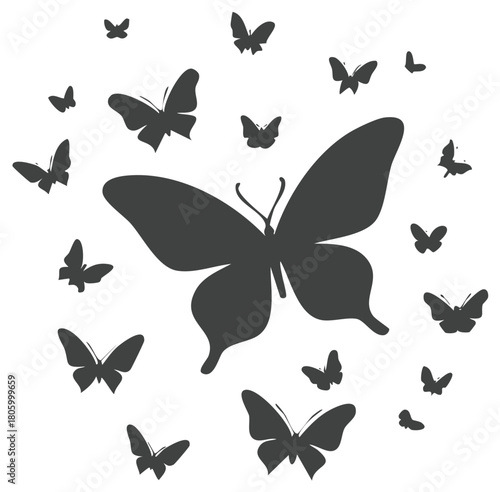 Silhouette of many butterflies fluttering around a larger butterfly illustration