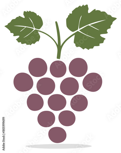 Illustration of fresh grapes with green leaves, purple grape bunches, vineyard harvest symbol, vector icon