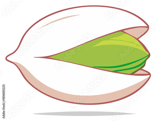 Illustration of an opened pistachio nut with the kernel inside.