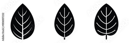 basil leaf minimal food icon set, black color and white background