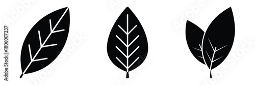 bay leaf minimal food icon set, black color and white background