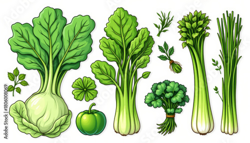 Leafy vegetable illustration cabbage spinach bok choy celery leek green pepper parsley herb fresh organic healthy vibe