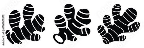 ginger root minimal food icon set, black color and white background