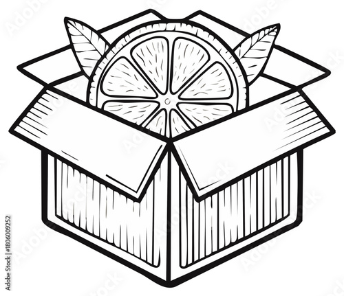 Hand drawn citrus fruit slice with leaves inside an open shipping box