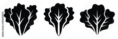 lettuce leaf minimal food icon set, black color and white background