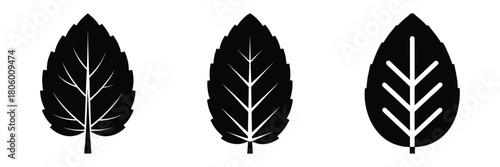 mint leaf minimal food icon set, black color and white background