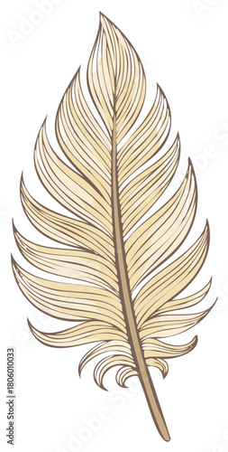 Decorative illustration of a single bird feather with a delicate beige and brown design