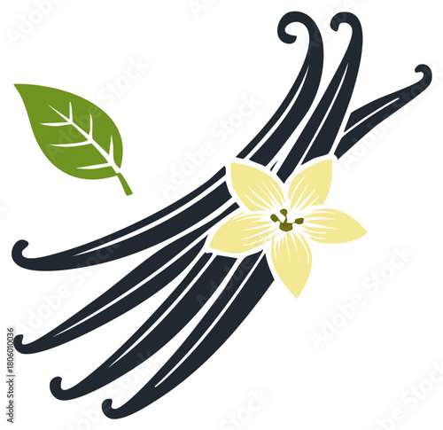 Vanilla Beans Pods and Flower with Green Leaf Illustration
