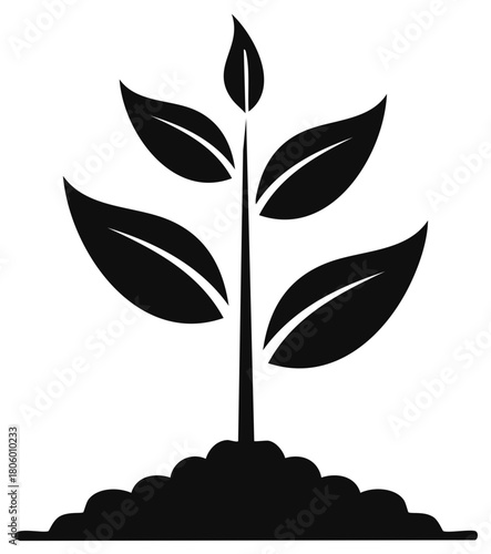 Silhouette of a Young Plant Growing from Soil, symbolizing growth, nature, sustainability, and new beginnings