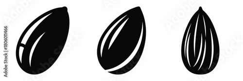 almond nut minimal food icon set, black color and white background