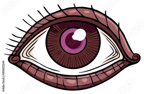 Stylized human eye illustration with purple iris, long lashes, and detailed brown lid design on a clean white background