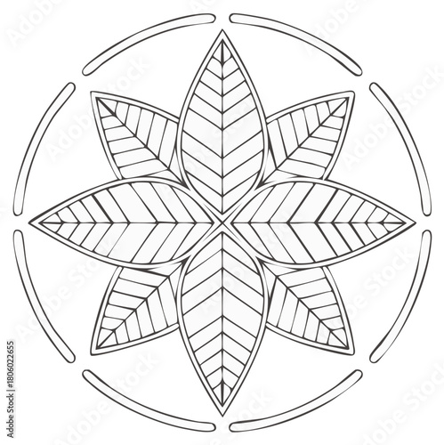 Elegant leaf mandala design inside circular frame for relaxation coloring pages or therapeutic art projects