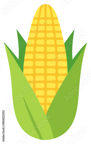 Simple vector illustration of a sweet corn ear with green leaves and golden kernels