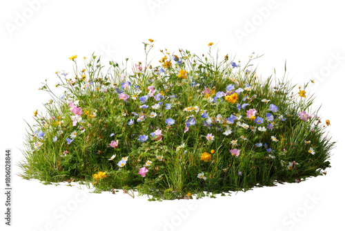 A vibrant patch of wildflowers in various colors growing amidst lush green grass