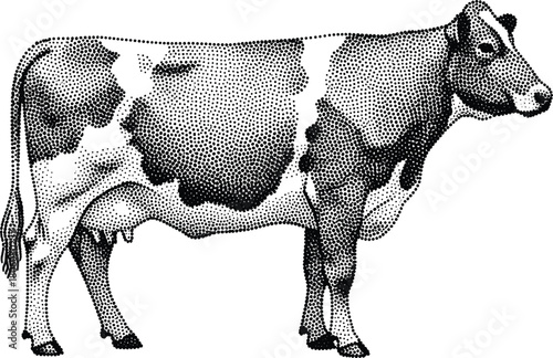 Black and white cow illustration, stippling texture, realistic vector sketch, side profile view, farm animal design for agriculture, livestock, dairy concept