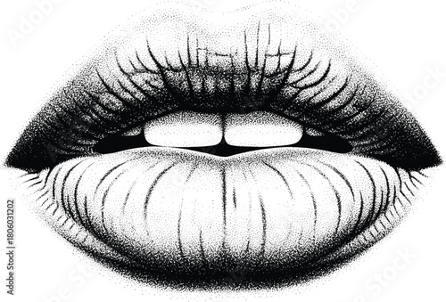 Black and white lips illustration, stippling texture, realistic vector sketch with parted mouth, teeth detail, artistic design for beauty, sensuality, emotion