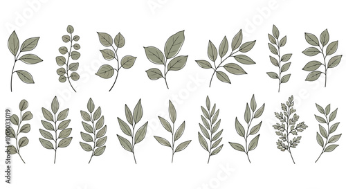 Collection of Stylized Botanical Leaf Sprigs and Branches for Decorative Design Elements