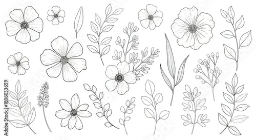 Elegant Botanical Line Art A Collection of Delicate Flowers, Leaves, and Sprigs for Design