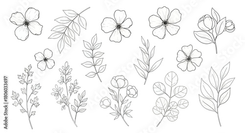 Elegant Line Art Collection Delicate Flowers and Leaves for Creative Design Projects