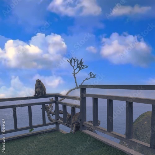 Monkeys Guarding the Cliffs Above the Ocean with Clear Skies
