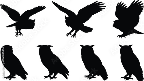 Flying Owl Silhouettes, Bird of Prey Vector Set, Black Night Animals, Wings Spread Icons, Perched Wildlife Collection