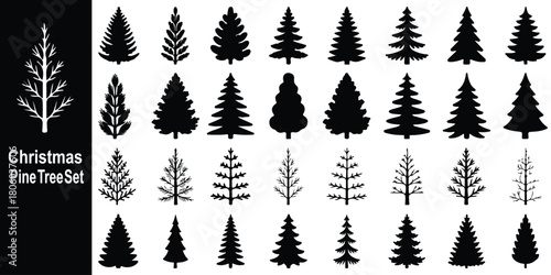 Pine icon set. Fir tree vector set. Christmas tree icon. Vector Illustration. set of fir trees, editable vector file on transparent background. Christmas tree silhouette  x-mas season pine tree eps10