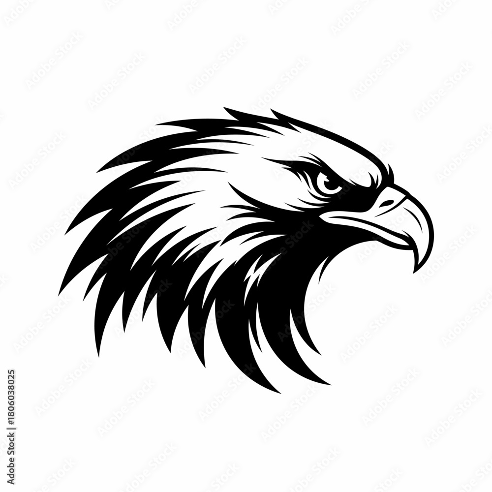 Fototapeta premium Detailed Black and White Eagle Head Vector Illustration.