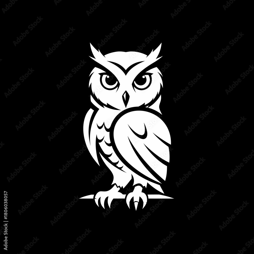 Obraz premium Stylized Owl Illustration with Sharp Details on Black Background.