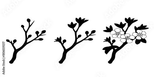 Cherry Blossom Stages Silhouette Set, Budding to Blooming Flower Branch Vector Icons