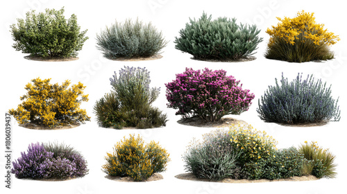 Array of Assorted Bushes with Green Yellow Purple and Gray Foliage on Transparent Background, PNG