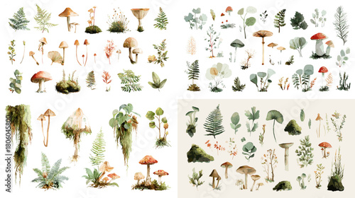 A delicate watercolor botanical collection of mushrooms, ferns, moss, and forest plants arranged in a soft natural woodland illustration.