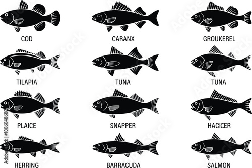 Fish silhouettes, cod, tuna, salmon, barracuda, tilapia, mackerel, groukerel, herring, snapper, plaice, hacicer, seafood vector, marine illustration, black fish, culinary chart, fish anatomy