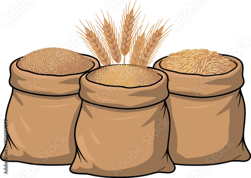 Harvest and Agriculture Concept: Sacks of Grain or Flour with Golden Wheat Ears Illustration
