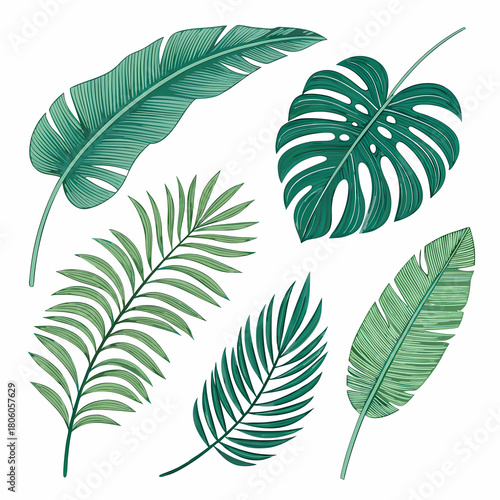 Minimalist tropical leaf vector set featuring palm, monstera, and banana leaf silhouettes, crisp edges and clean white background for modern design use.