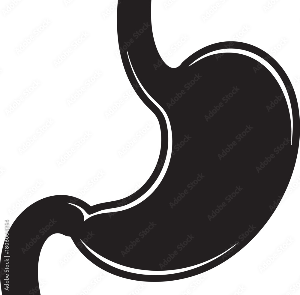 Fototapeta premium Clear vector illustration of the human stomach, a key digestive organ essential for overall health. This anatomical graphic portrays internal physiology, critical for medical and educational content.