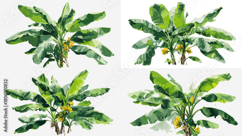A realistic watercolor illustration of banana trees with large green leaves and hanging fruit, painted with soft natural textures that evoke tropical freshness and botanical beauty.