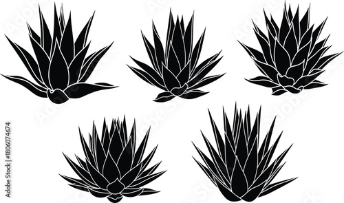 Agave plant silhouette set, desert cactus foliage vector, tropical succulent leaves illustration, botanical decorative nature graphic, sharp pointed leaf design art