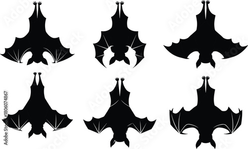 Bald eagle perched silhouette illustration, bird of prey vector, raptor on branch artwork, wildlife nature design, majestic eagle symbol, black graphic collection