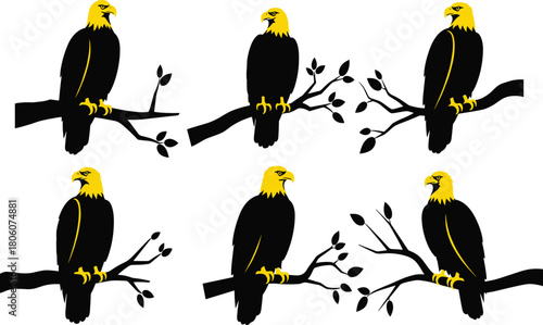 Bald eagle perched silhouette illustration, bird of prey vector, raptor on branch artwork, wildlife nature design, majestic eagle symbol, black graphic collection