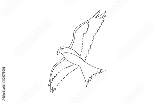 Bird couple continuous one line drawing minimalist outline vector illustration

