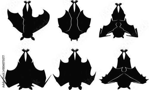 Bat silhouettes hanging upside down, nocturnal wildlife mammals, spooky Halloween vector illustration, flying fox artwork, gothic nature design, dark animal graphic art