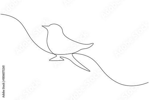 Bird couple continuous one line drawing minimalist outline vector illustration
