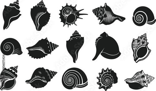 Black and white seashell silhouette vector collection, marine shell illustration set, ocean conch, clam, scallop, spiral shell, decorative design