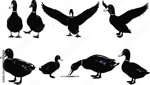 Black duck silhouette vector collection, flying duck illustration set, swimming bird, wildlife design, waterfowl, nature animal graphic, decorative artwork