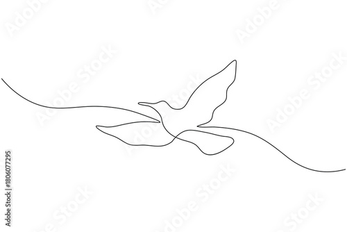 Bird couple continuous one line drawing minimalist outline vector illustration
