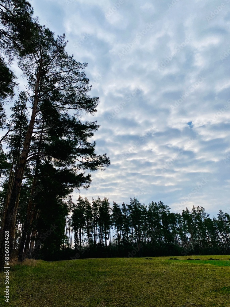 Fototapeta premium early morning landscape 